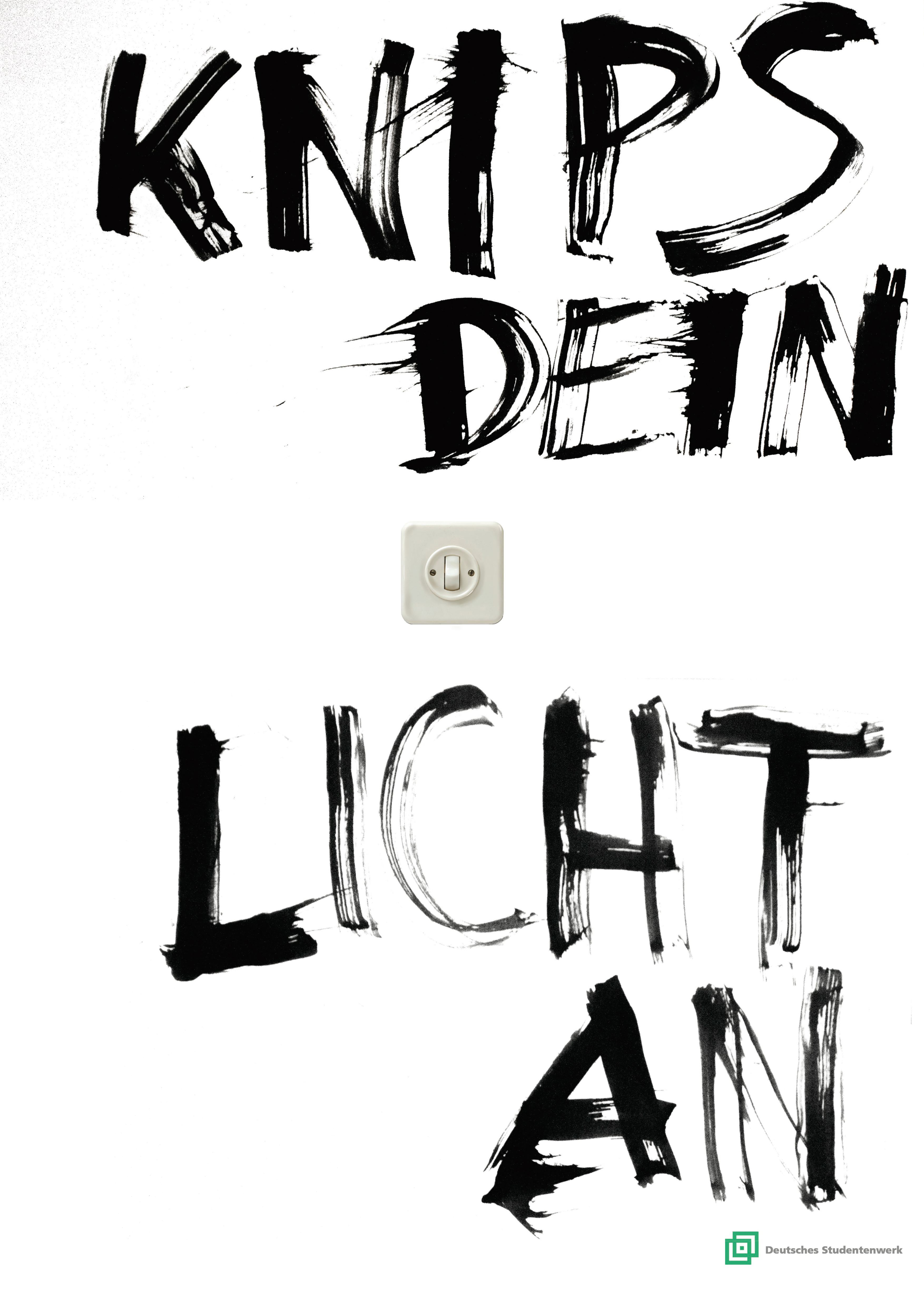 Plakatentwurf: "Knips dein Licht an" in individueller Typo neben der Fotografie eines originalgroßen Lichtschalters