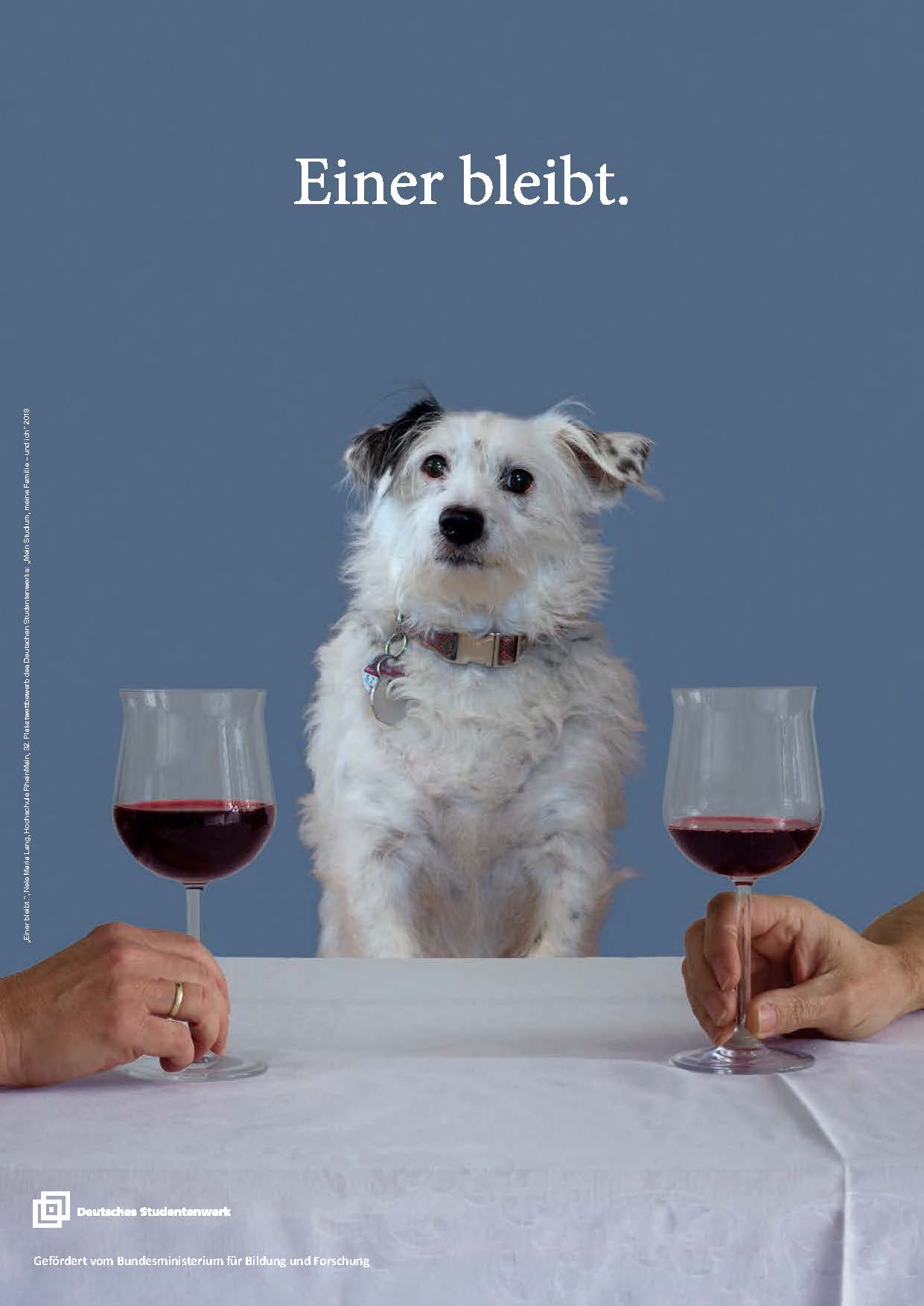 Foto - Esstisch, in der Mitte sitzt ein Hund am Tisch, rechts und links ist je eine Hand mit einem Weinglas zu sehen